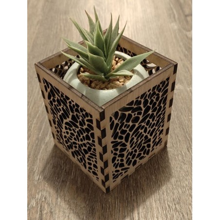 Photophore - Cache Plante